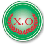 X O Logo